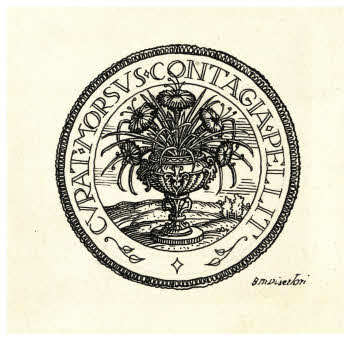 Visualizza l'immagine "FD D 2958"